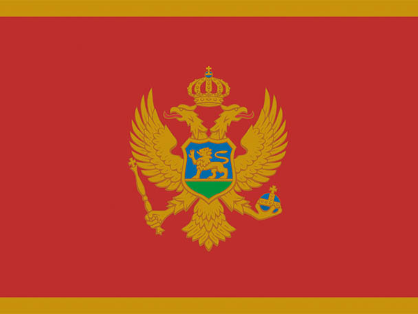 flag-MNE