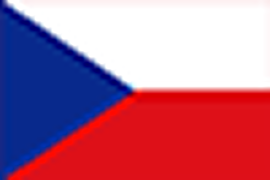 flag-TCH